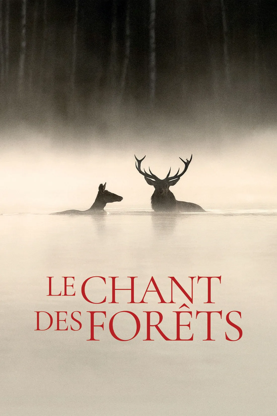 Le Chant des forêts (2025)